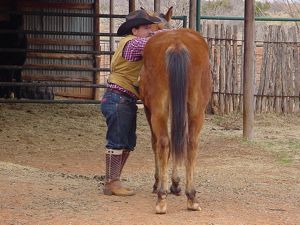 cowboy cowboy