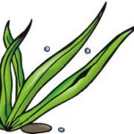 images-1