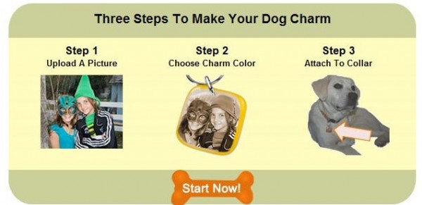 dog collar charms