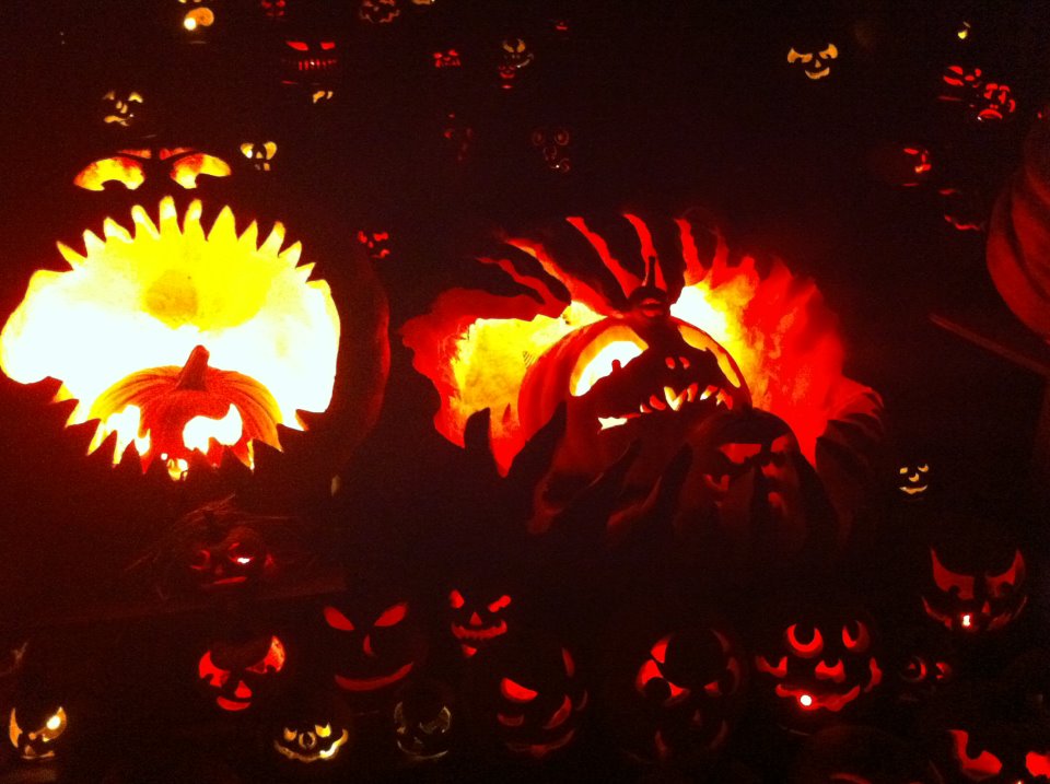 roger williams zoo jack o lantern spectacular discount code