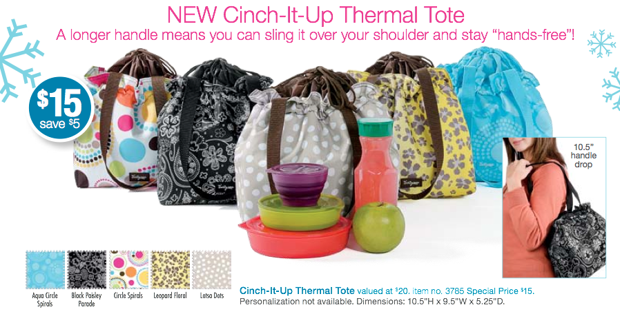 Thirty-One Gifts Cinch It Up Thermal Tote (Review & Giveaway) - Mommy's  Block Party