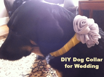 Dog flower collar outlet wedding diy