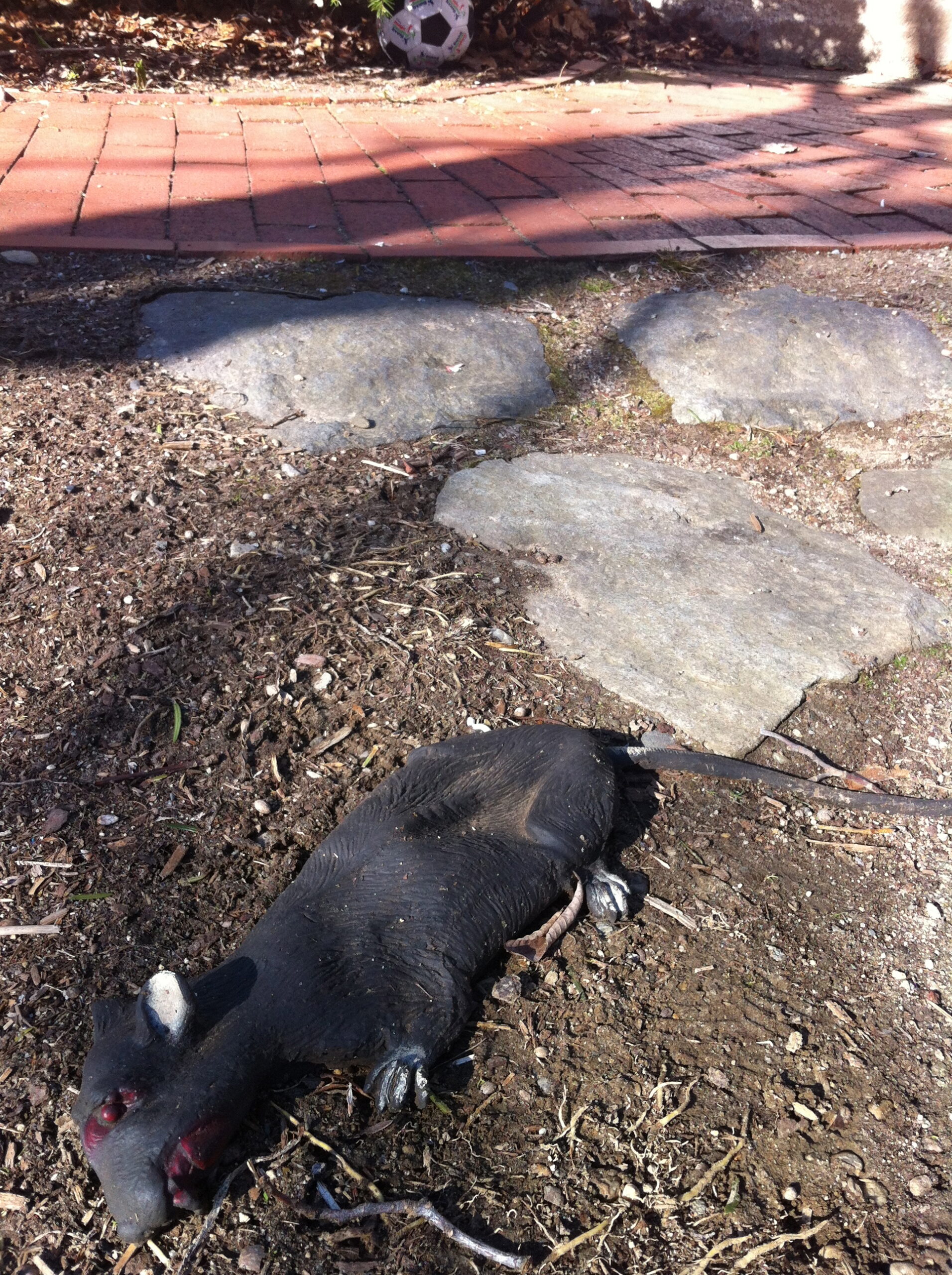 "Slugs and snails and puppydogs' tails"... and a rat Stylish Life