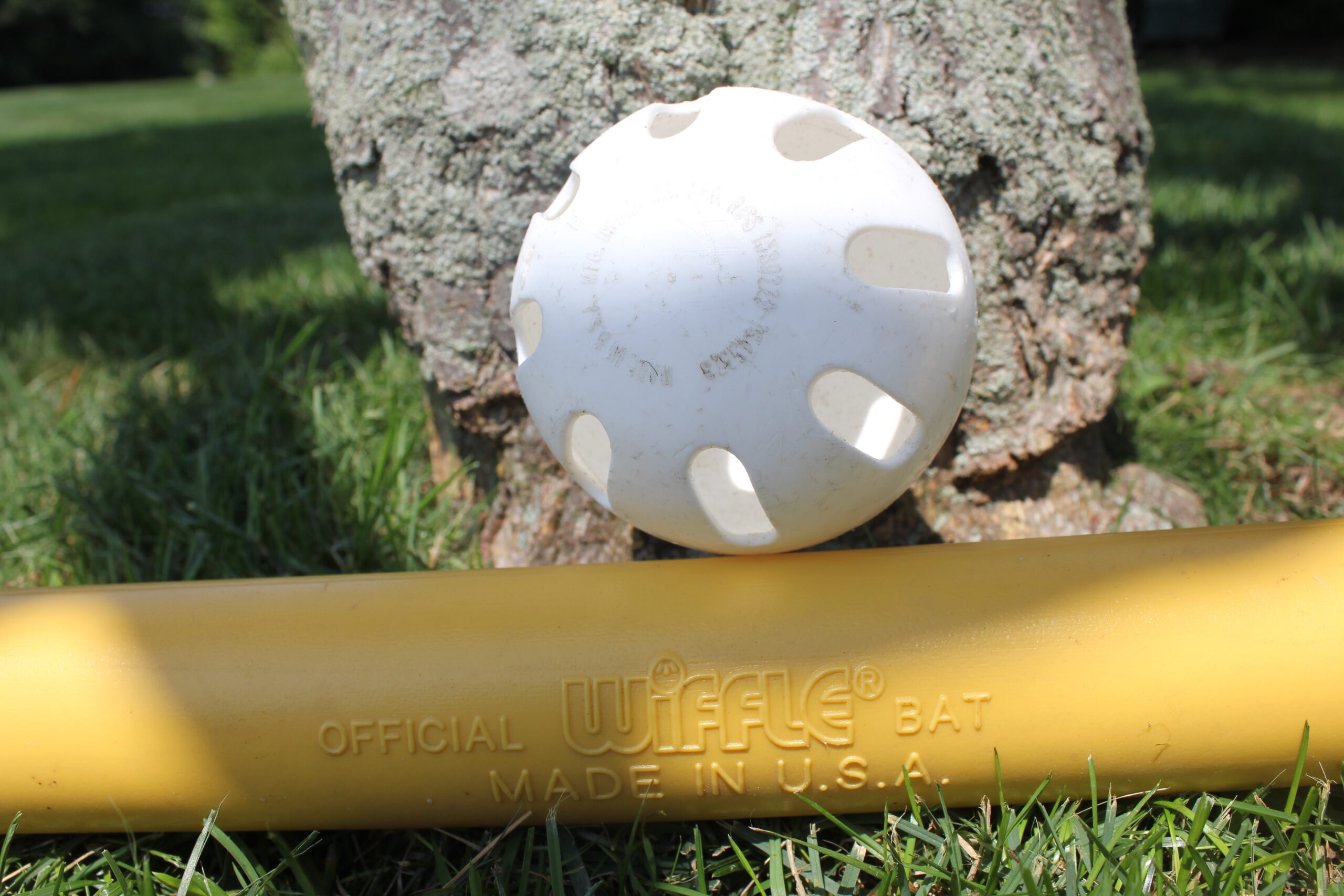 How to teach about a fun game while PLAYING it Go grab a Wiffle Ball