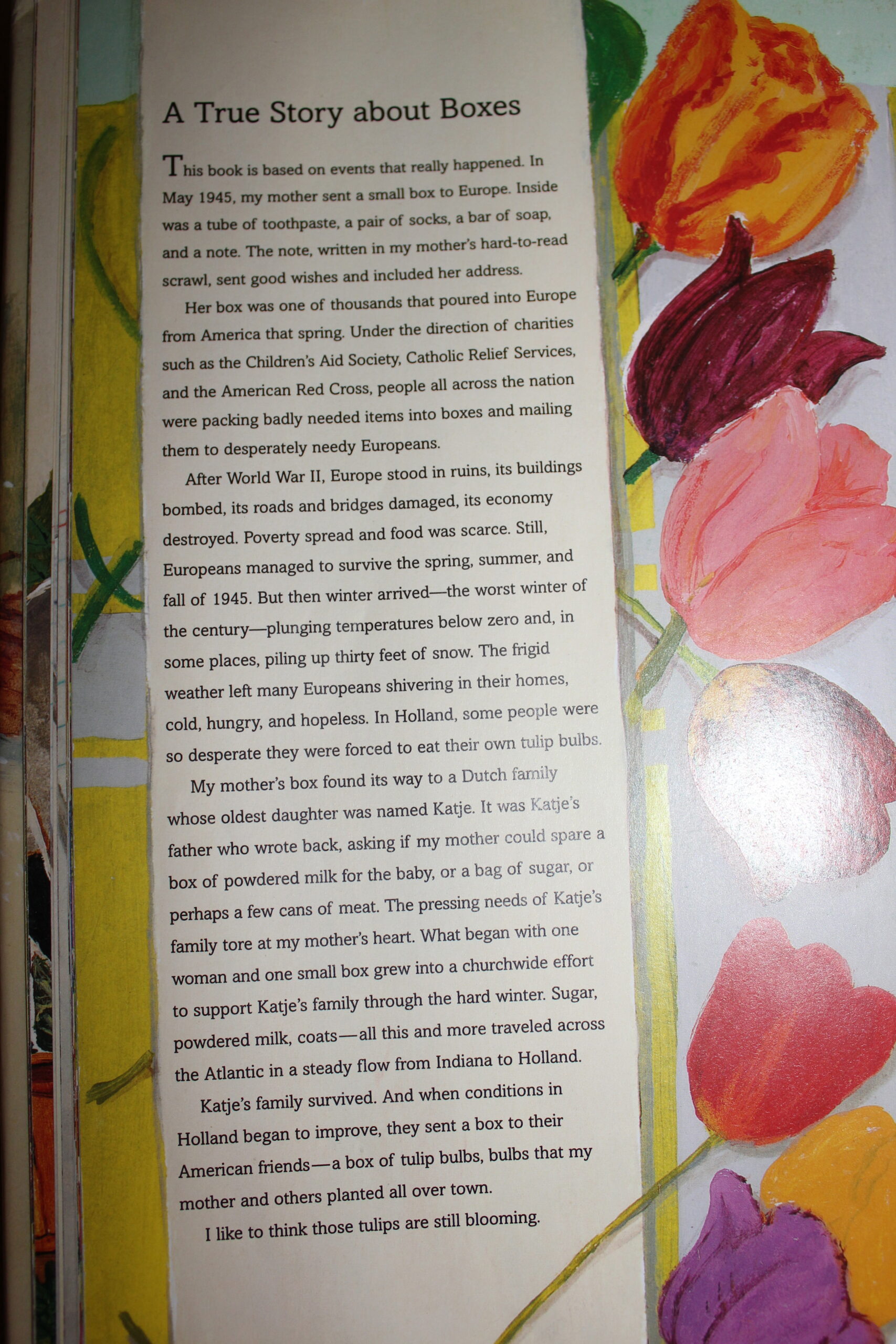 Boxes for Katje 31 December Days, 31 Books Stylish Life for Moms