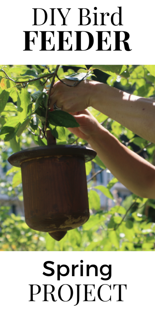 DIY Bird Feeder