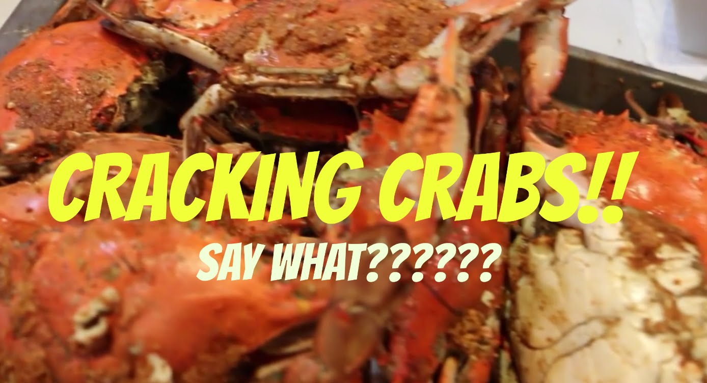 Daily Video Cracking Crabs with 21 KIDS! Stylish Life for Moms