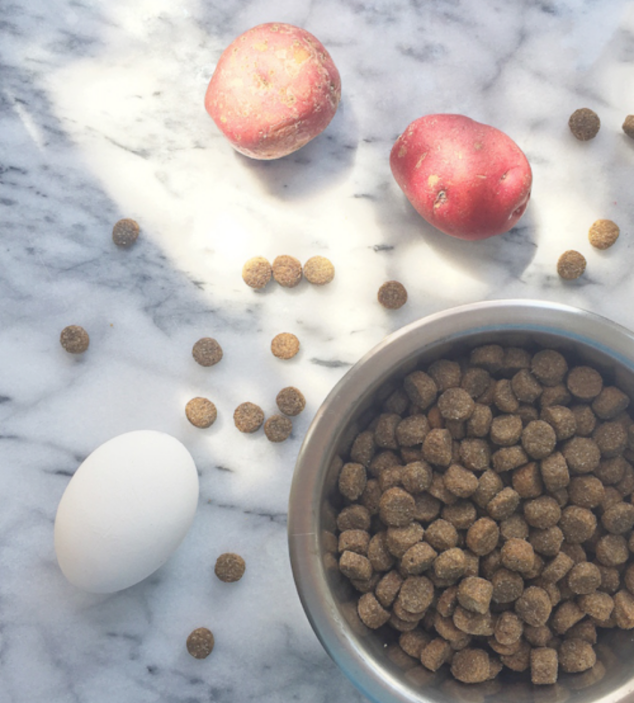 Pet Food Made By Pet People Stylish Life for Moms