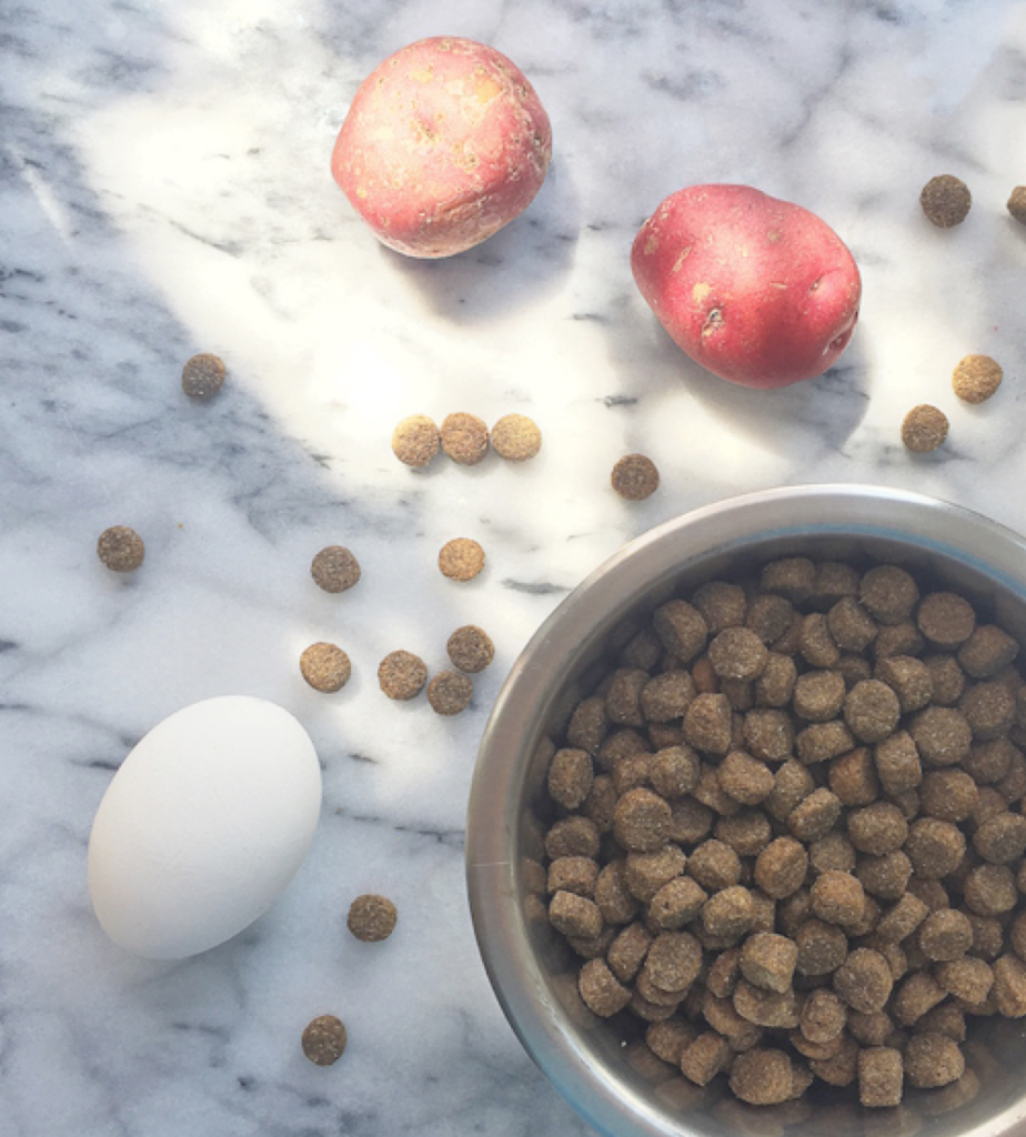 Pet Food Made By Pet People - Stylish Life for Moms