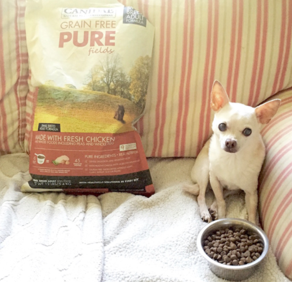 Pet Food Made By Pet People Stylish Life for Moms
