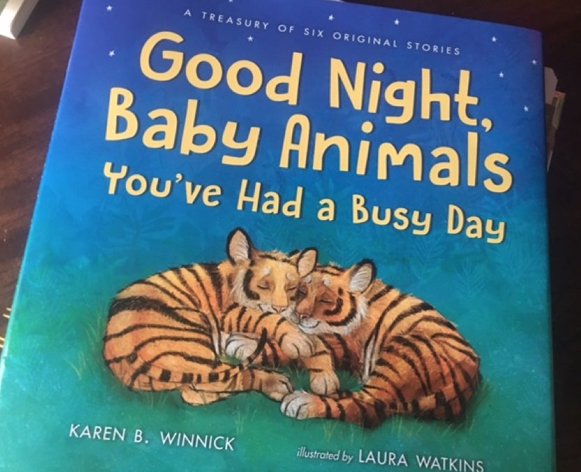 Good Night, Baby Animals, You’ve Had a Busy Day by Karen B. Winnick ...