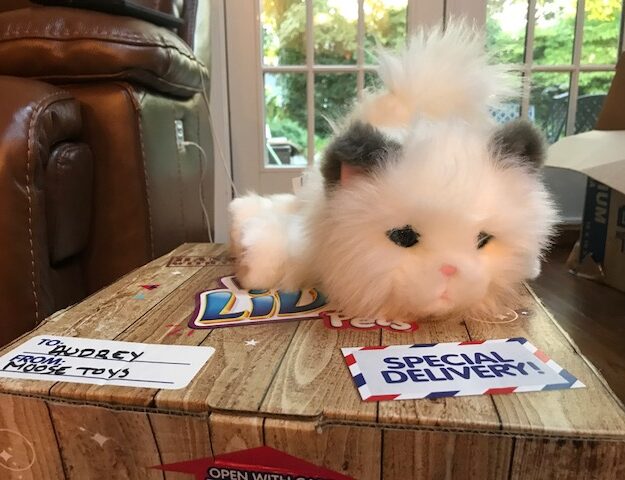 Toy Review: Little Live Pet - Cuddles the Kitten