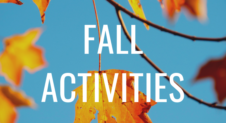 fall activities