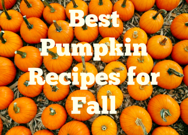 16 Best Pumpkin Recipes for Fall - Stylish Life for Moms