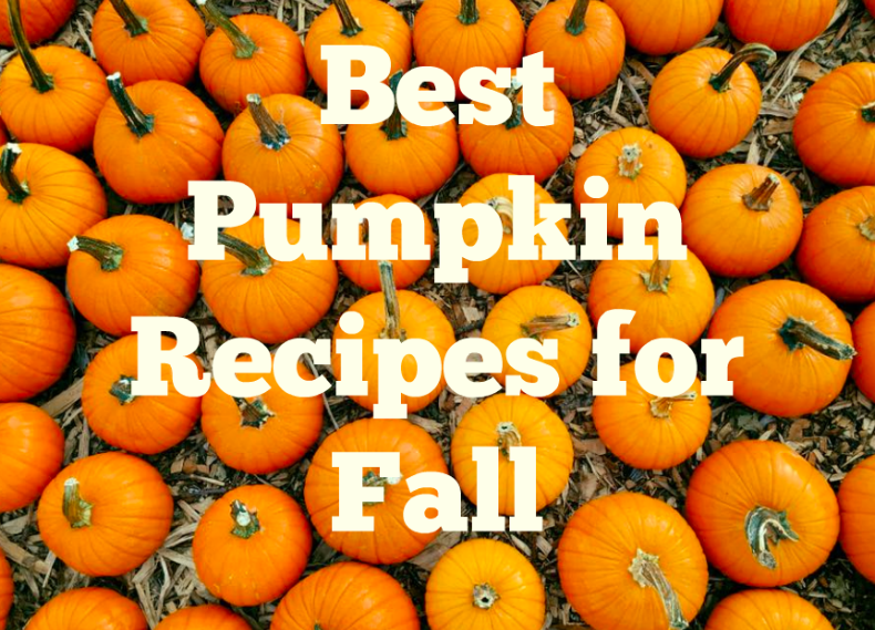 16 Best Pumpkin Recipes For Fall Stylish Life For Moms