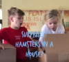 Hamsters in a House Toy Review