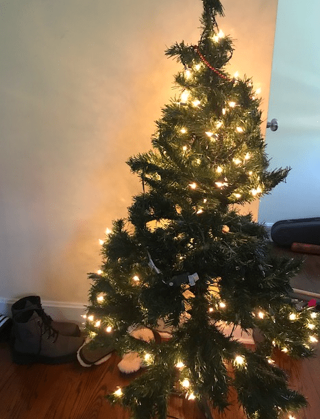 Small Christmas trees throughout the house help make your home festive. 