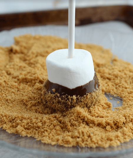 S'more Pops