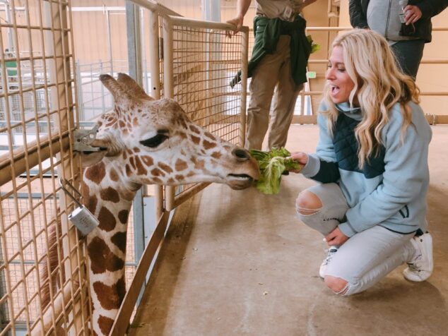 Feeding Giraffes at the Omaha Zoo