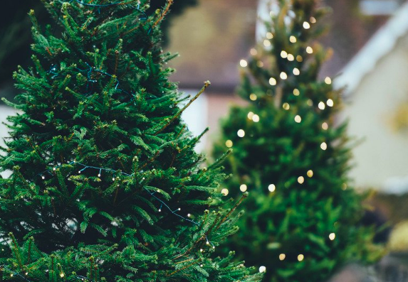 25 Ways to Spread Cheer and Give Back this Holiday Season