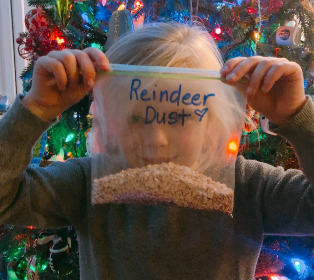 How to Make Reindeer Dust - Stylish Life for Moms