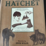 Hatchet Book