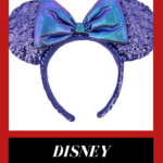 Disney Clothes and Accessories