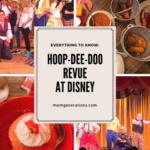 Hoop-Dee-Doo Revue Review