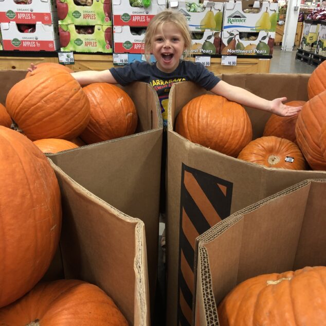 BJ's Wholesale Club - Fall Decor