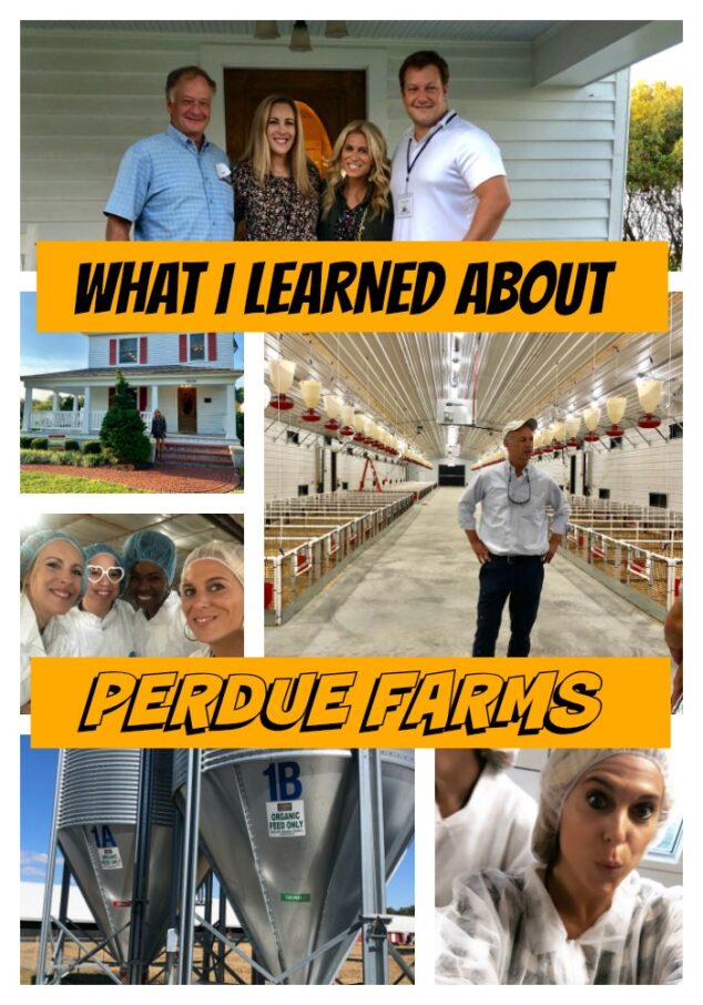 Perdue Farms Experience