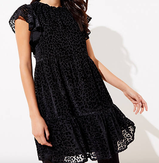 LOFT Dresses: Leopard Print Velvet Swing Dress