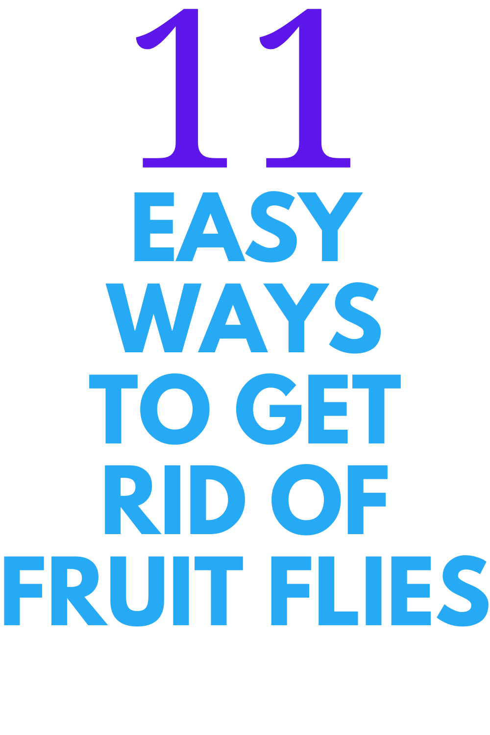 11-easy-ways-to-get-rid-of-fruit-flies-stylish-life-for-moms