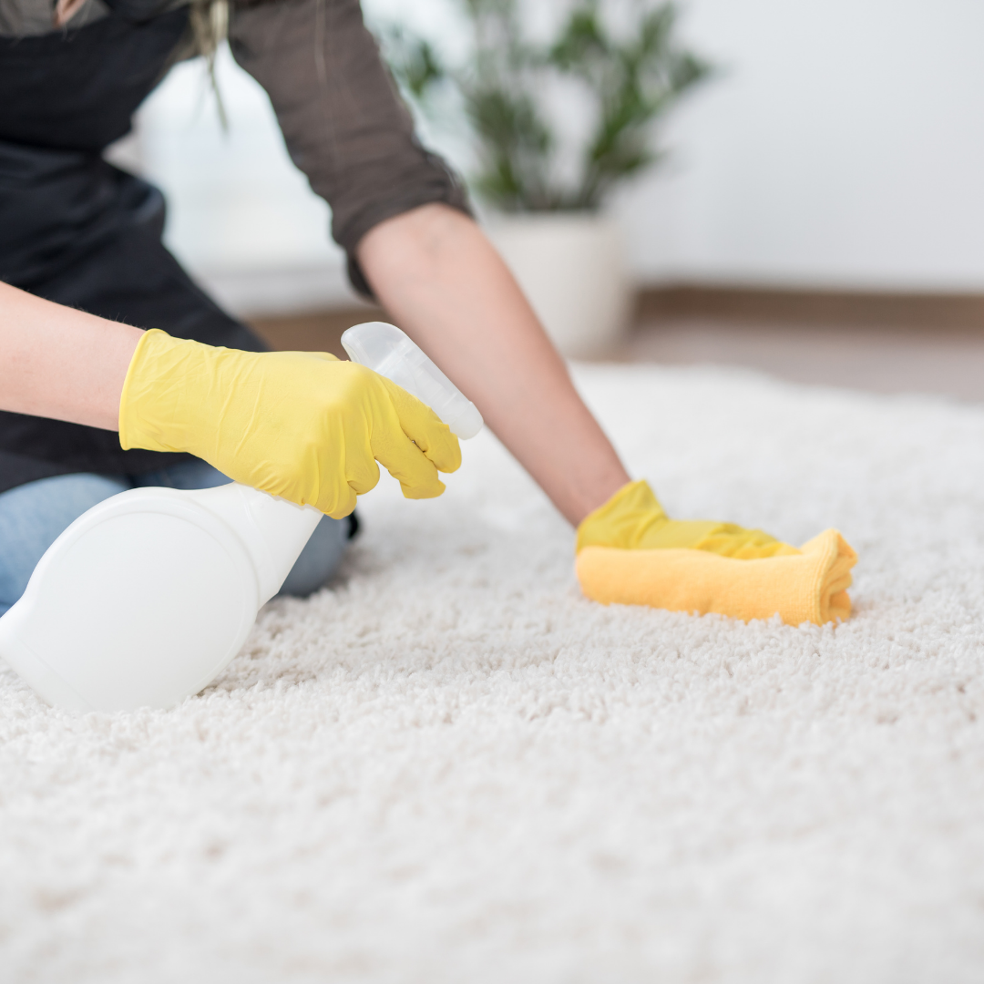 How to Get Paint Out of Carpet (This is for all the MOMS!) Stylish