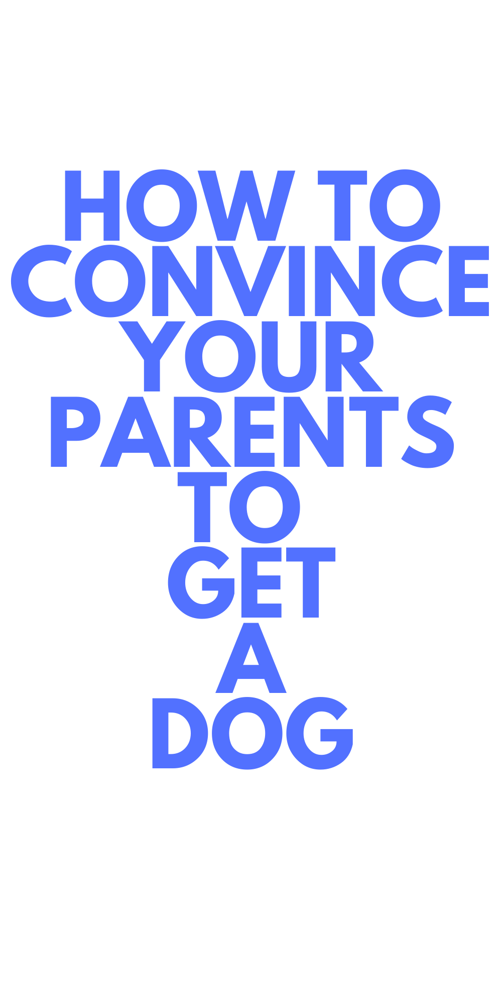 how to convince your parents to keep your dog