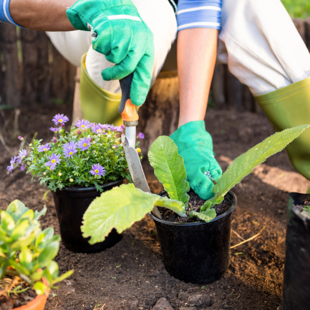 50 spring outdoor activities for kids