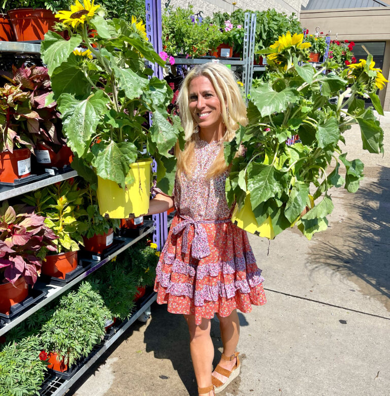 Did You Know That You Can Get Plants at BJ's Wholesale Club? Stylish