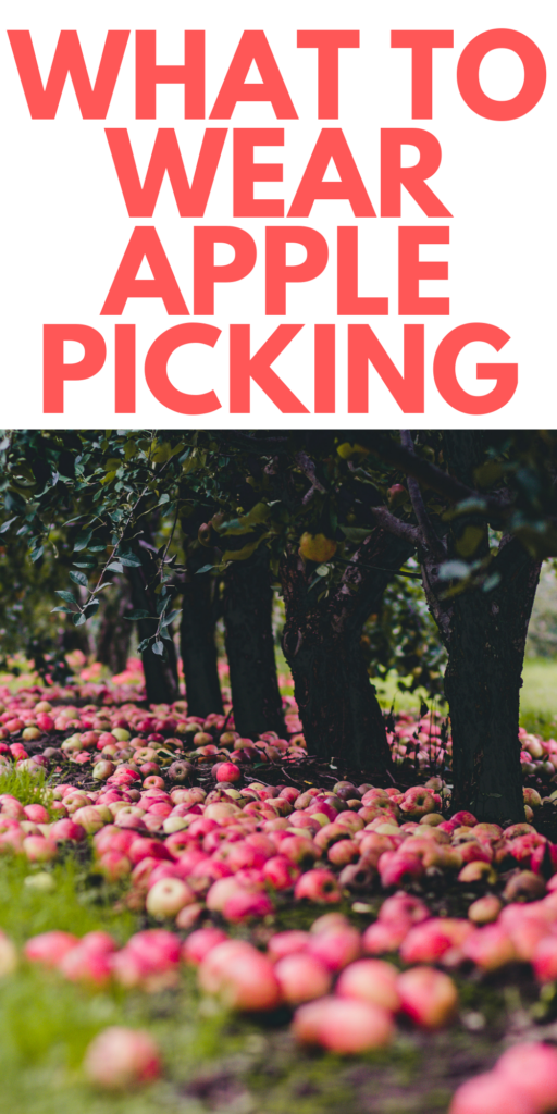 What to Wear Apple Picking