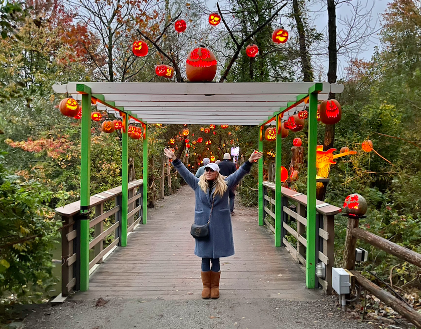 Roger Williams Zoo Pumpkins Spectacular Stylish Life for Moms