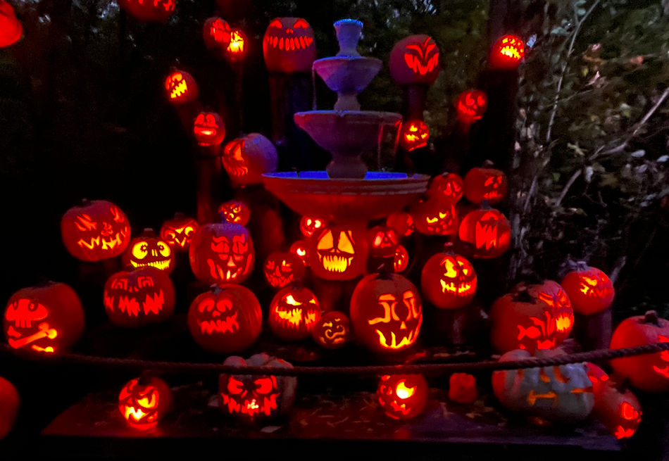 Roger Williams Zoo Pumpkins Spectacular Stylish Life for Moms