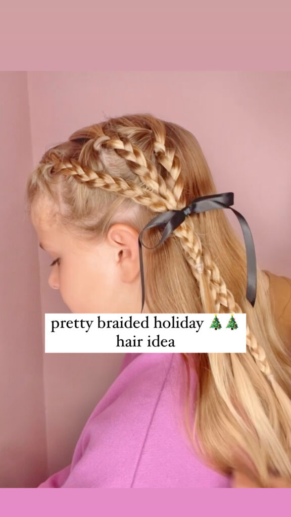 Braided Hairstyle for the Holidays