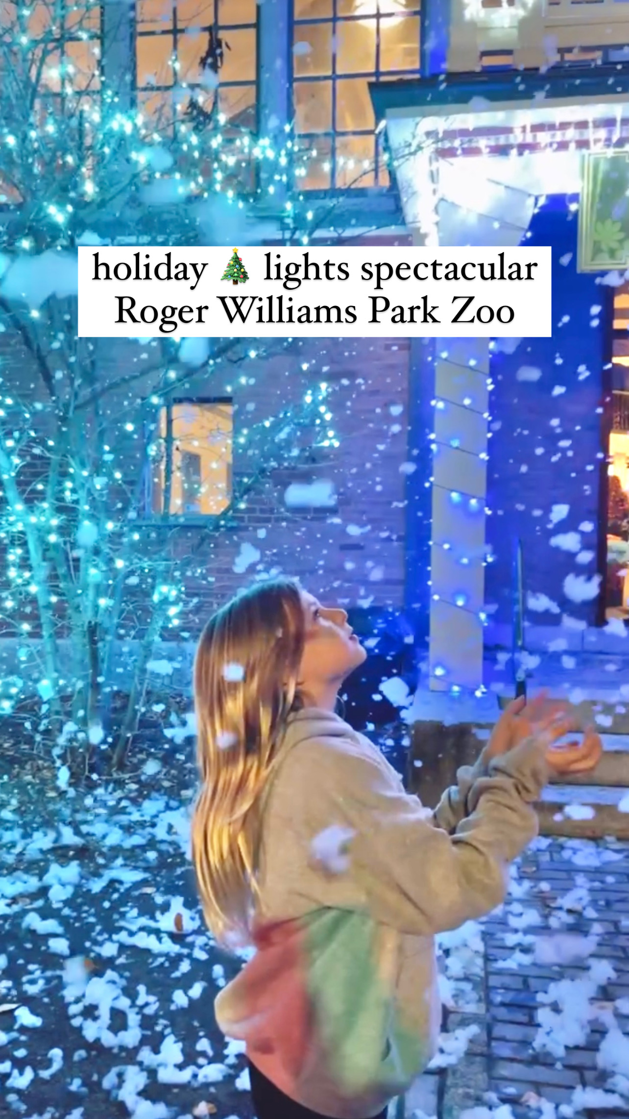 Holiday Lights Spectacular at Roger Williams Park Zoo - Stylish Life